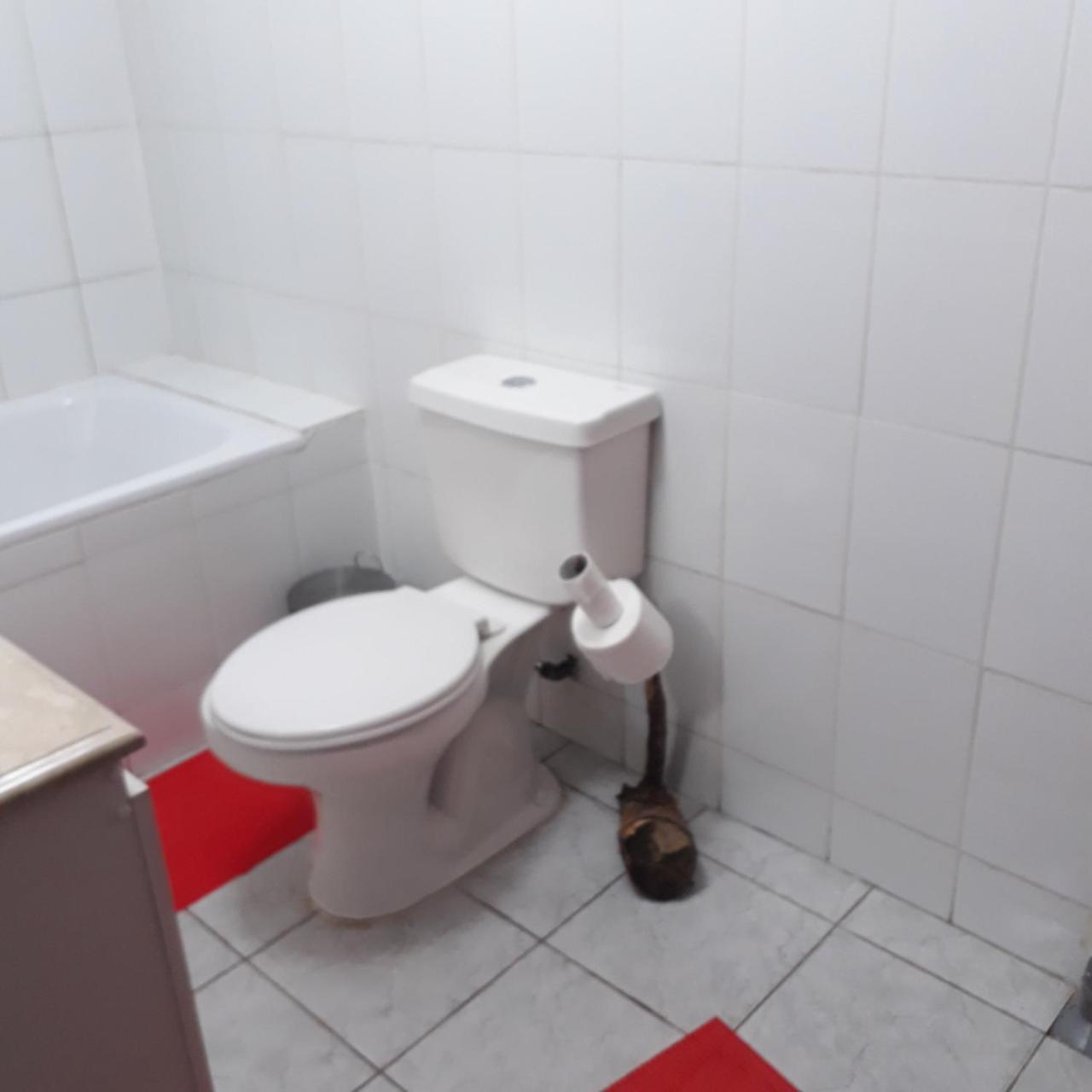 La Llar Hostel Panguipulli Luaran gambar