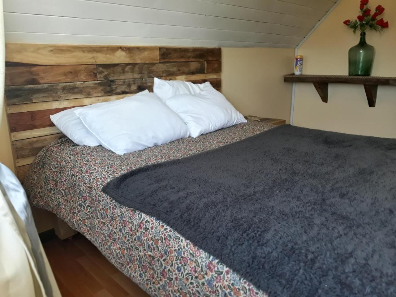 La Llar Hostel Panguipulli Luaran gambar