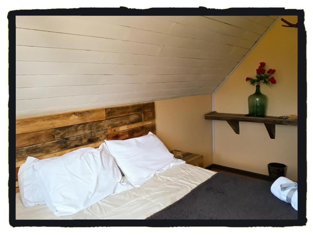 La Llar Hostel Panguipulli Luaran gambar
